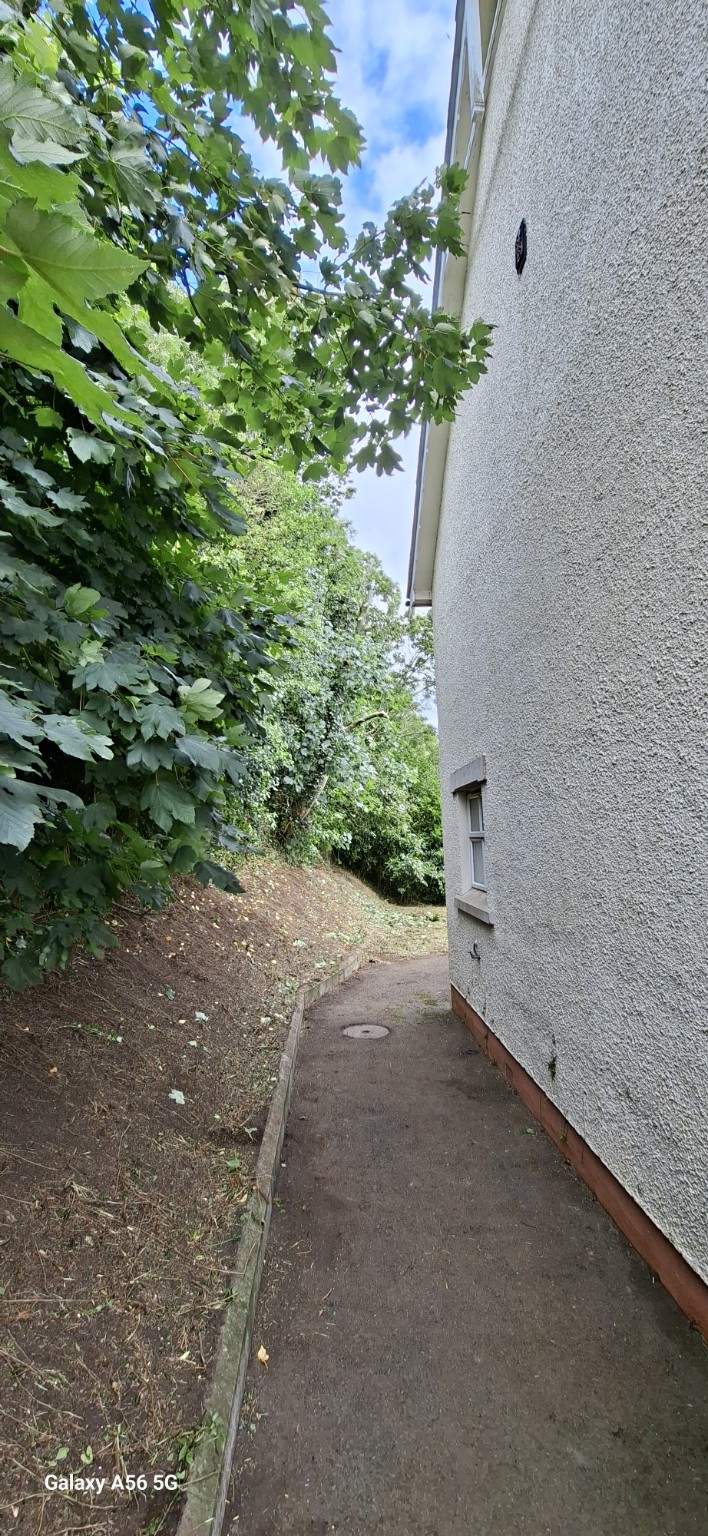 Site after vegetation clearance